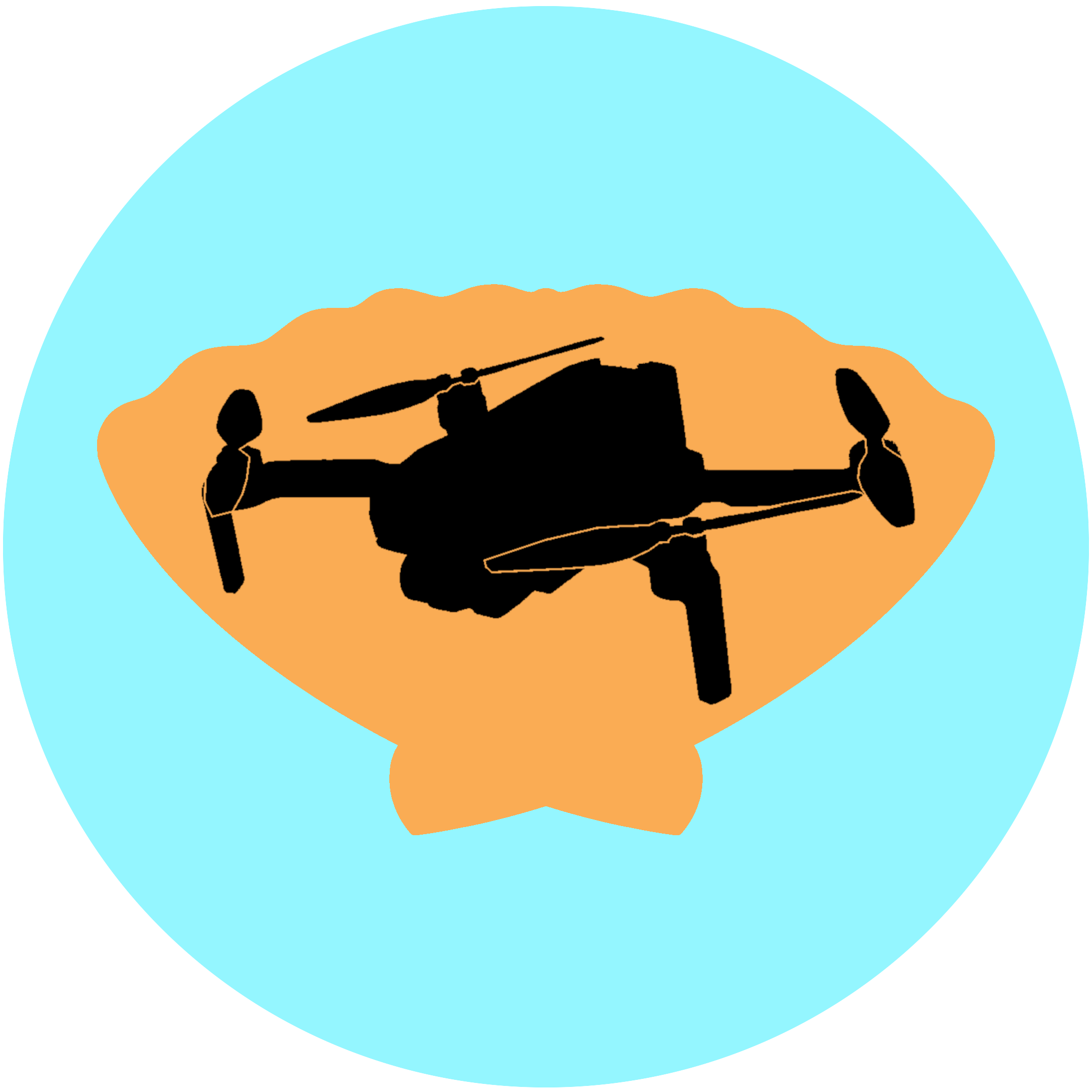 Shell Aerial